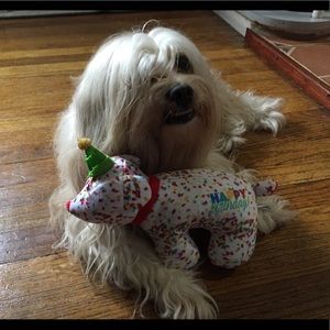 Meet your Posher, Grace